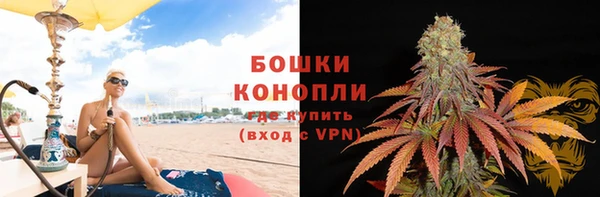 молекула духа Ельня