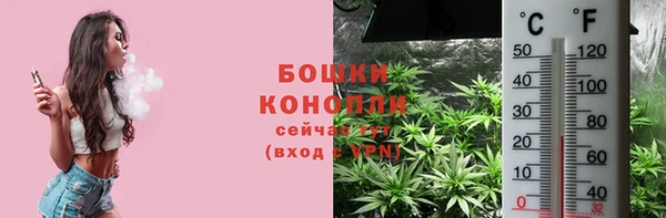 молекула духа Ельня