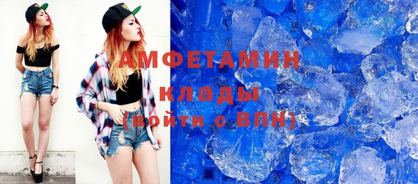 молекула духа Ельня