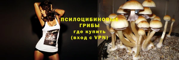 молекула духа Ельня