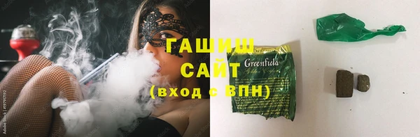 молекула духа Ельня