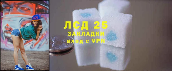 молекула духа Ельня