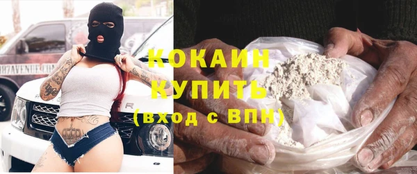 молекула духа Ельня