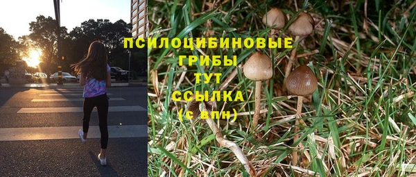 ПСИЛОЦИБИНОВЫЕ ГРИБЫ Елабуга