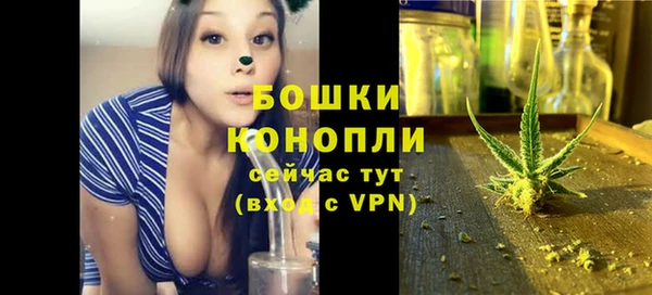 молекула духа Ельня