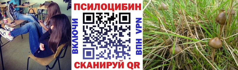 Купить закладки  Лениногорск  Галлюциногенные грибы Magic Shrooms 